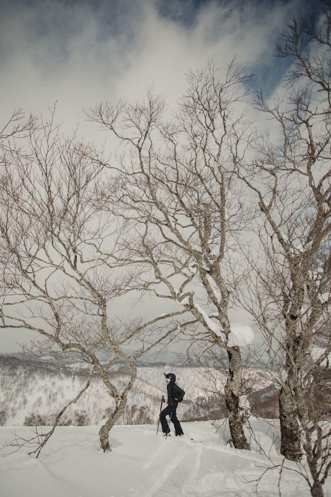 Immagine dell'itinerario