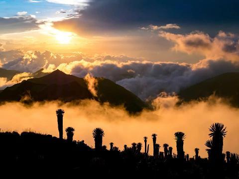 THE LOST CITY TREK IN COLOMBIA
