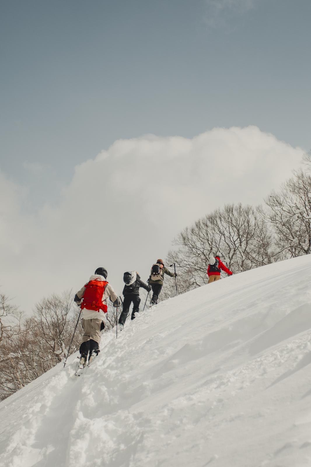 Immagine dell'itinerario