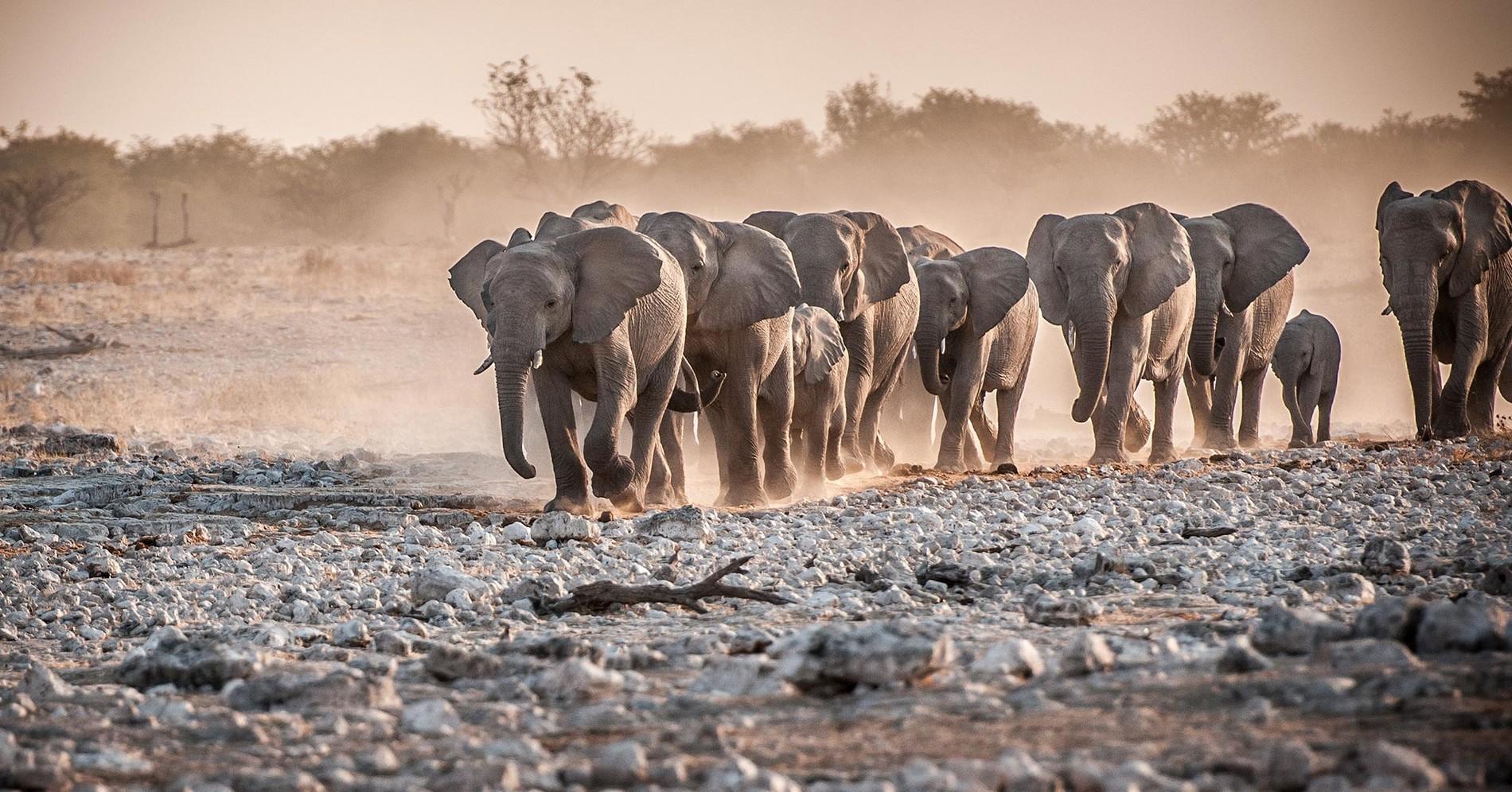 Immagine dell'itinerario