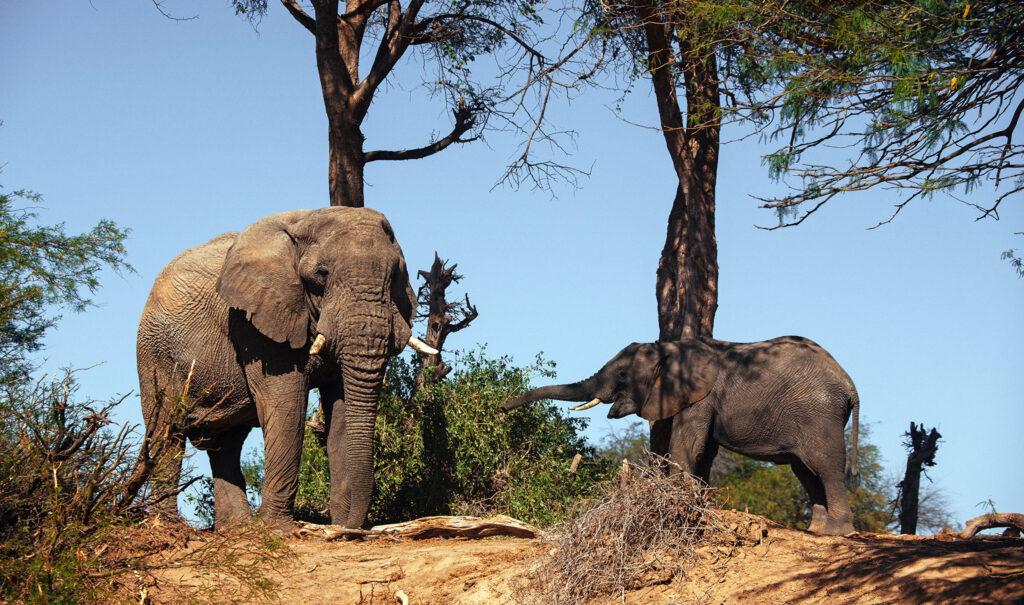 Immagine dell'itinerario