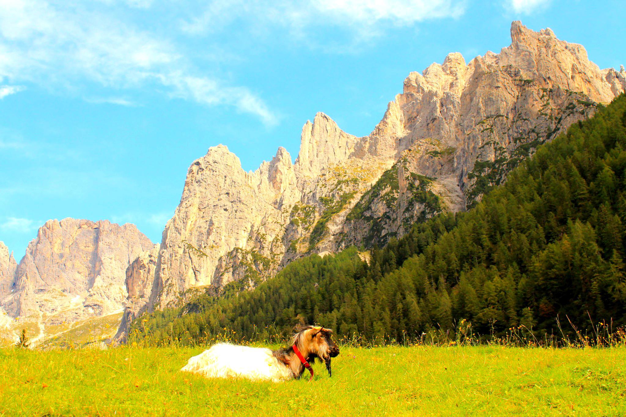 Immagine dell'itinerario