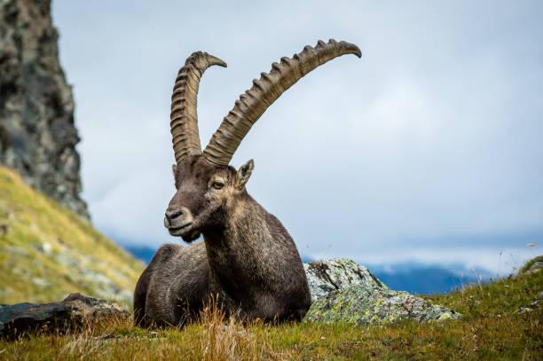 Immagine dell'itinerario