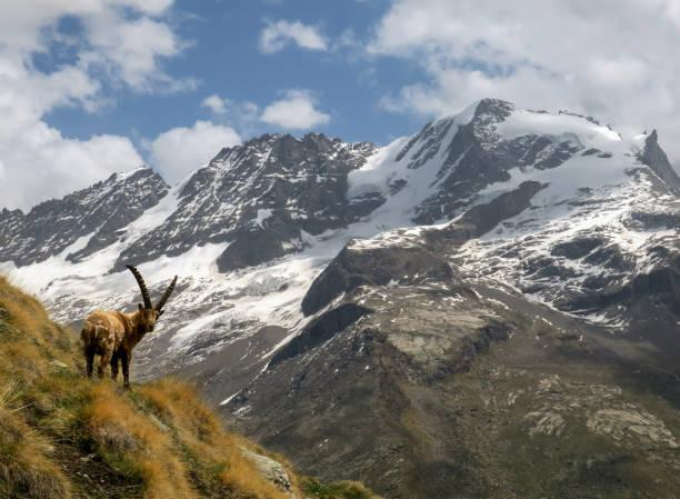 Immagine dell'itinerario