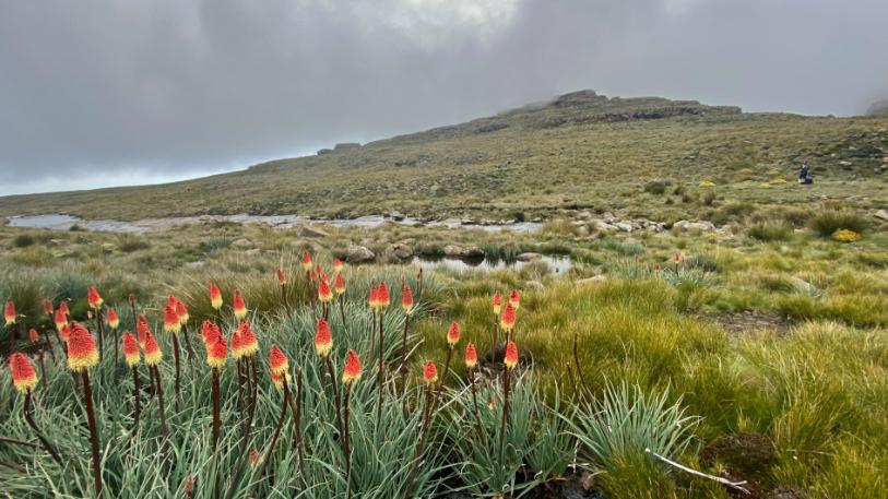 Immagine dell'itinerario