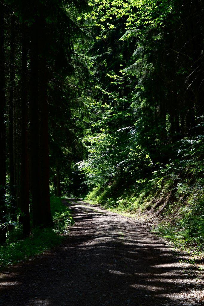 Immagine dell'itinerario