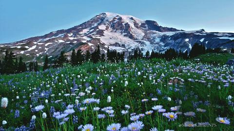 OLIMPIADI DI WASHINGTON E AVVENTURA NELLE CASCATE – TREKKING DI 7 GIORNI
