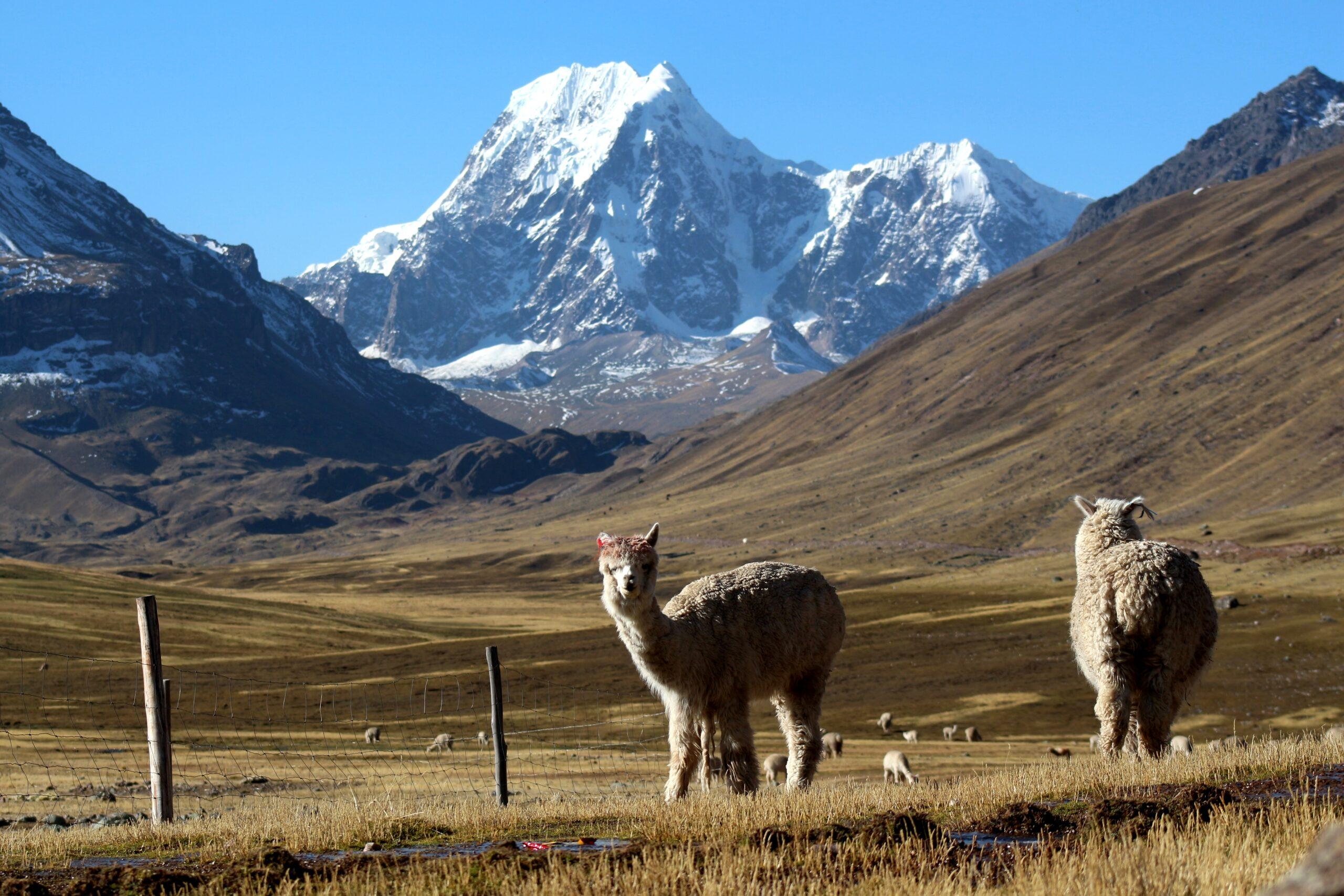 Immagine dell'itinerario