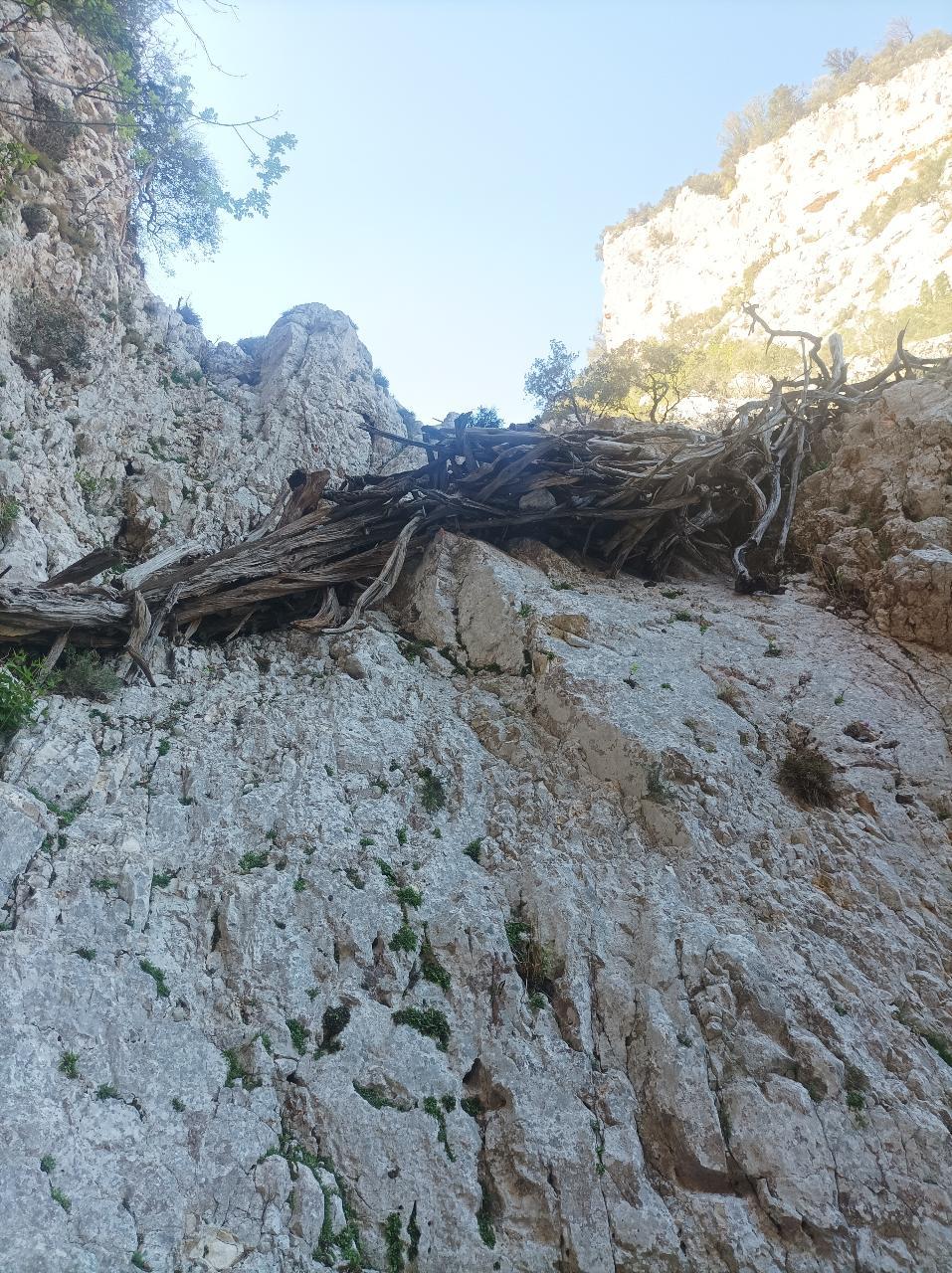 Immagine dell'itinerario