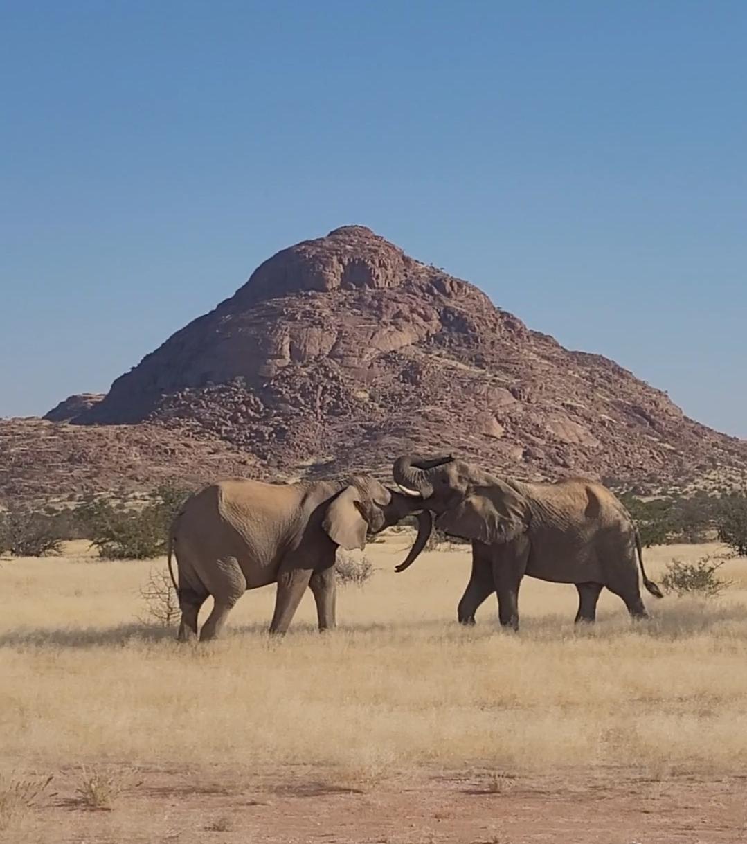 Immagine dell'itinerario