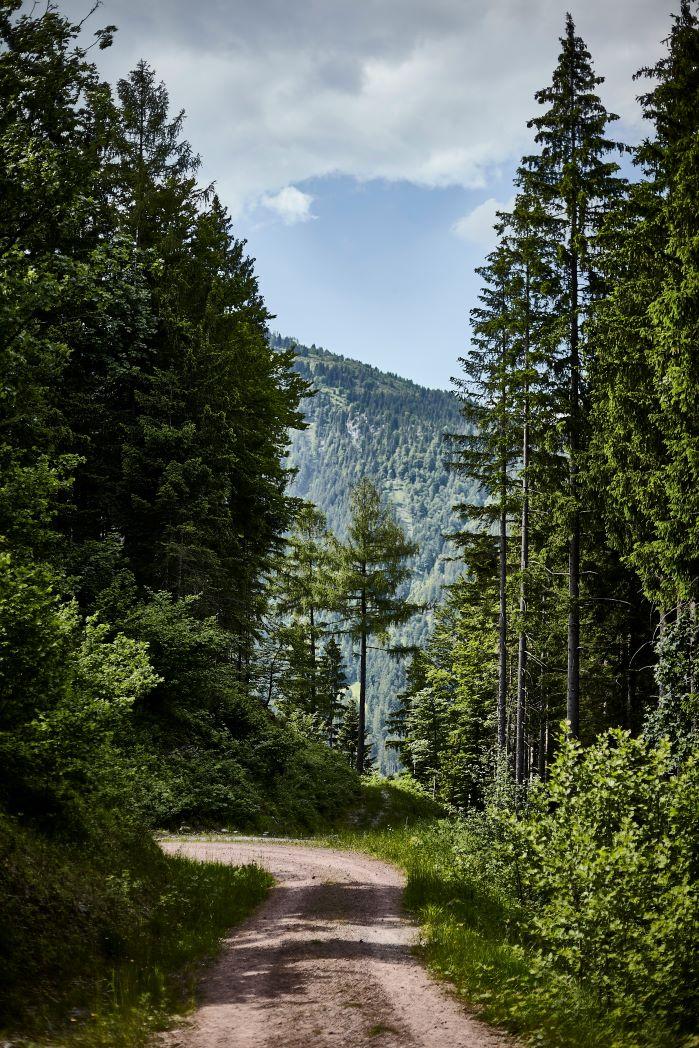 Immagine dell'itinerario